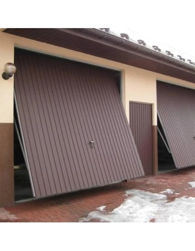 Staal Garagendeur Kantelpoort - 200 x 200 cm - RAL 1002
