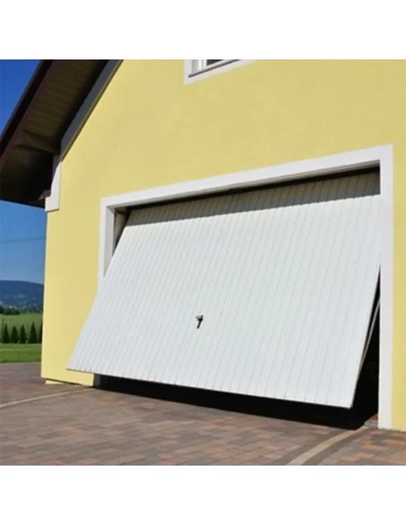 Staal Garagendeur Kantelpoort - 200 x 200 cm - RAL 1002