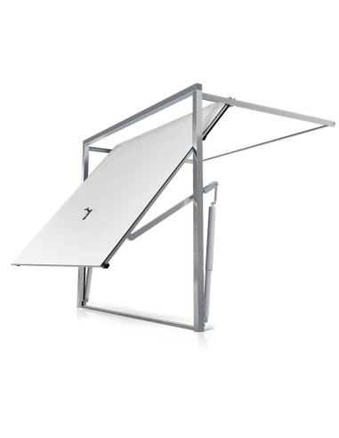 Staal Garagendeur Kantelpoort - 200 x 200 cm - RAL 1002