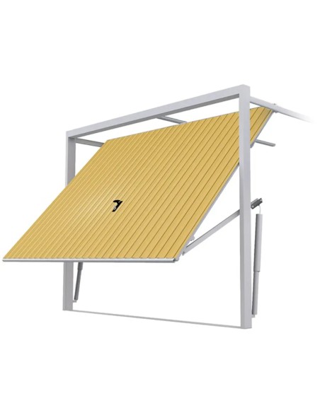 Staal Garagendeur Kantelpoort - 200 x 200 cm - RAL 1002