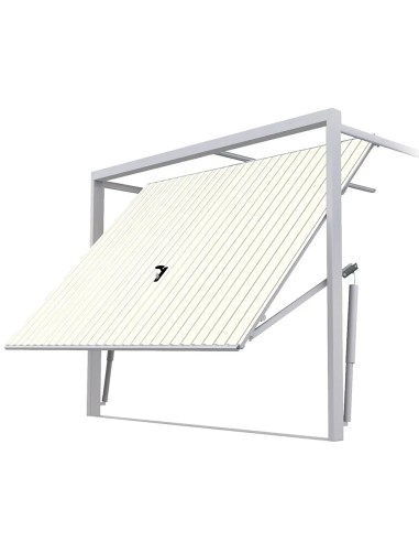 Staal Garagendeur Kantelpoort - 230 x 200 cm - RAL 9010