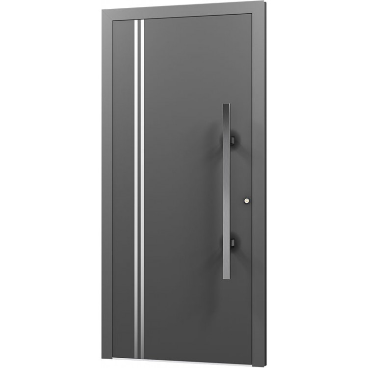 	Aluminium Buitendeuren - AN13	